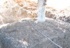 Blackmans Flattree-transplanting-4.jpg; ?>